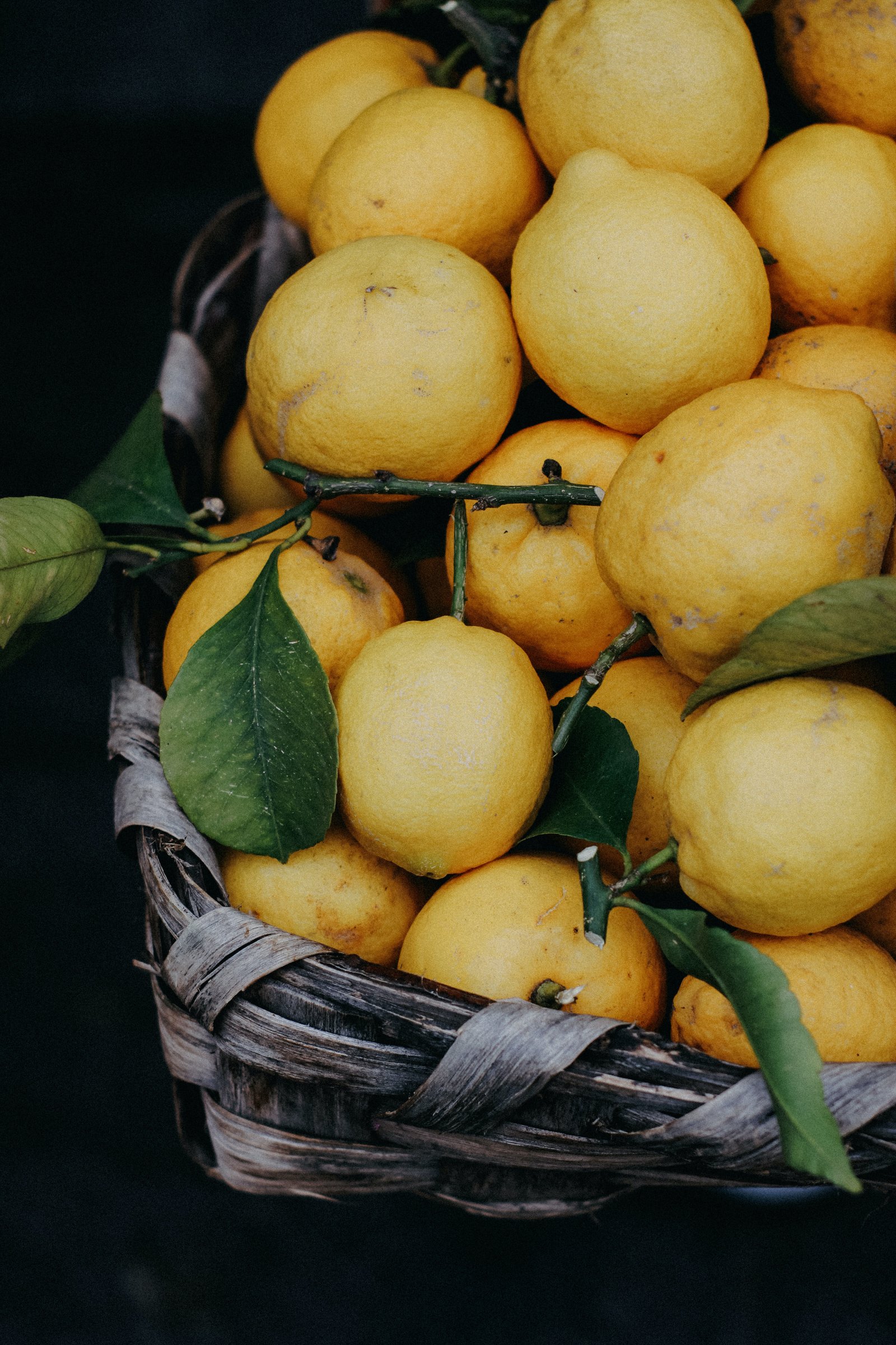 Exploring the Fusion of Electronics Design and Embedded Systems in Adriatic Food from the Balkan Region in Germany